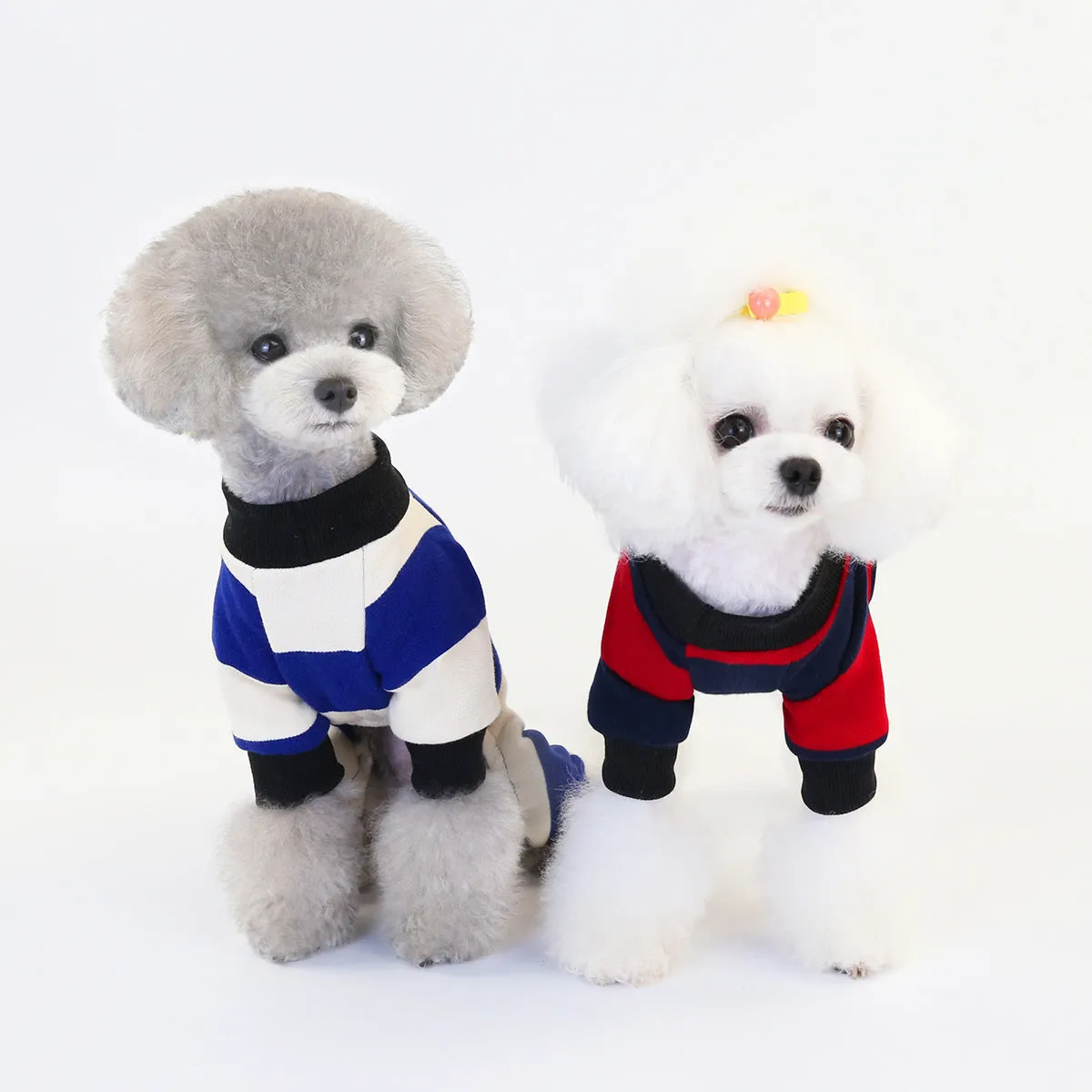 Autumn Warm Pet Clothing Teddy Small Dog