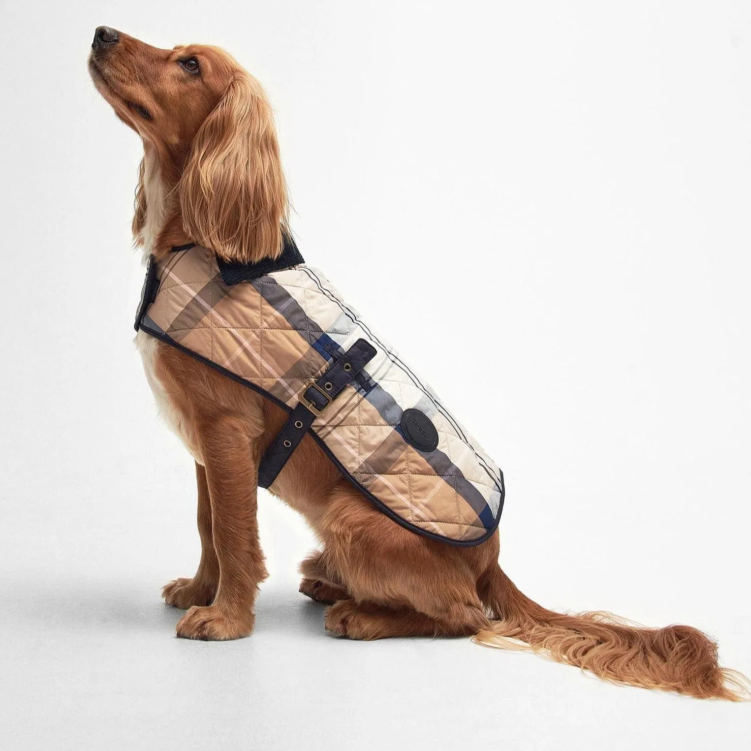 Barbour Tartan Dog Coat in Primrose Hessian, Size Medium