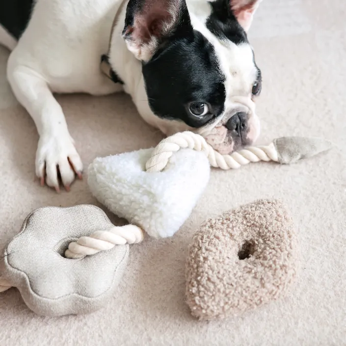 BLOCS//ENRICHMENT DOG TOY // NUDE