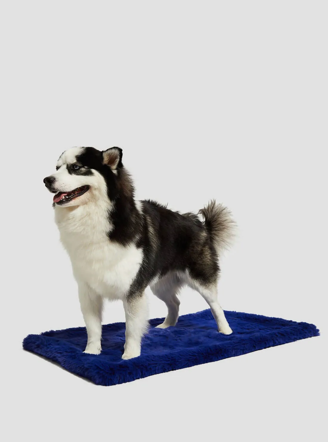 Blue Faux-Fur Luxury Pet Rug