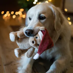 Christmas Teddy Plush Dog Toy