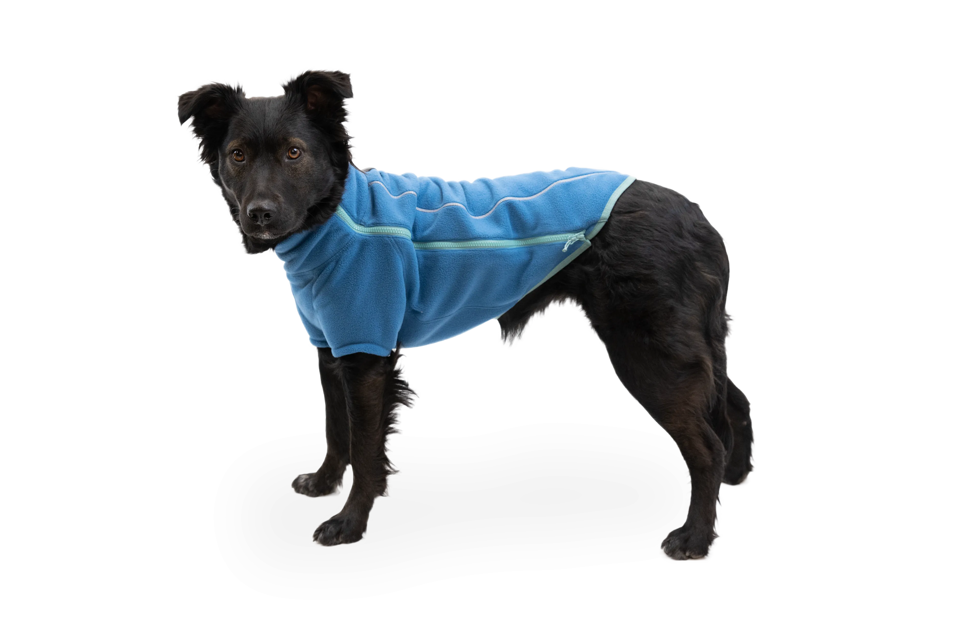 Climate Changer™ Dog Fleece