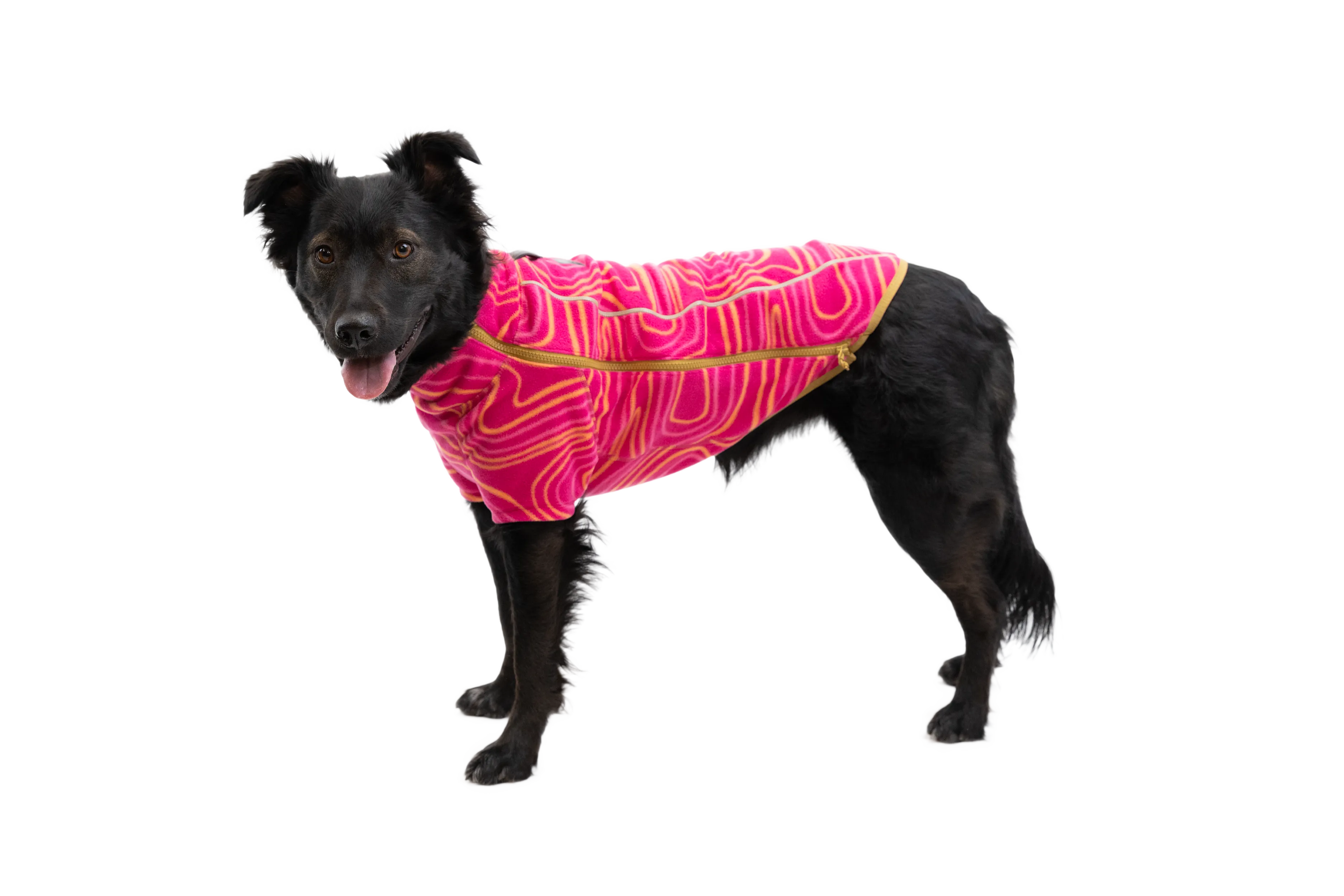 Climate Changer™ Dog Fleece