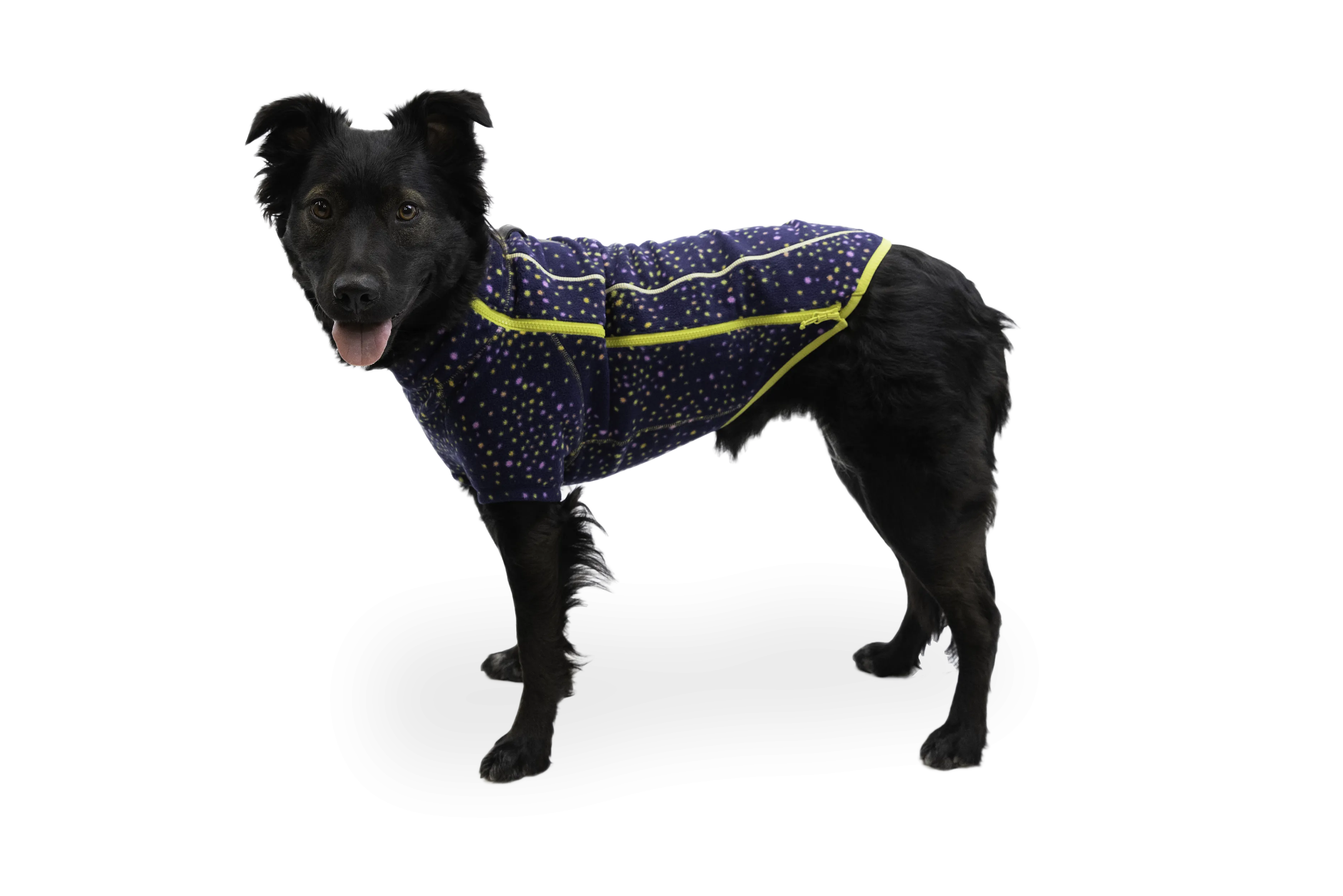 Climate Changer™ Dog Fleece