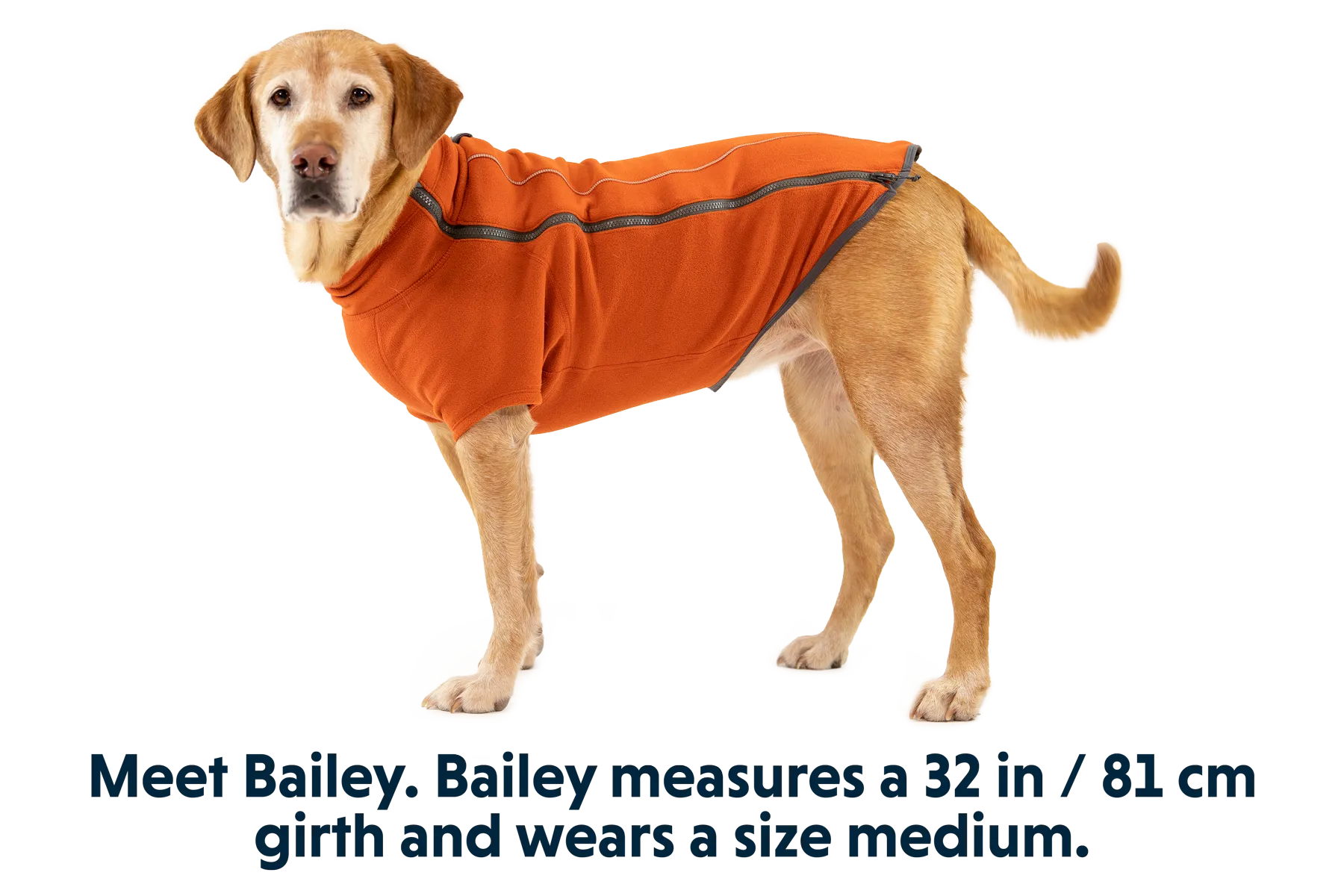 Climate Changer™ Dog Fleece