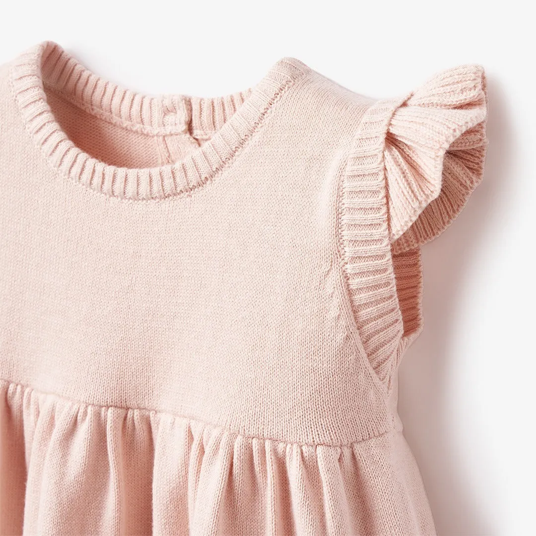 Garden Picnic Flutter Sleeve Knit Baby Dress