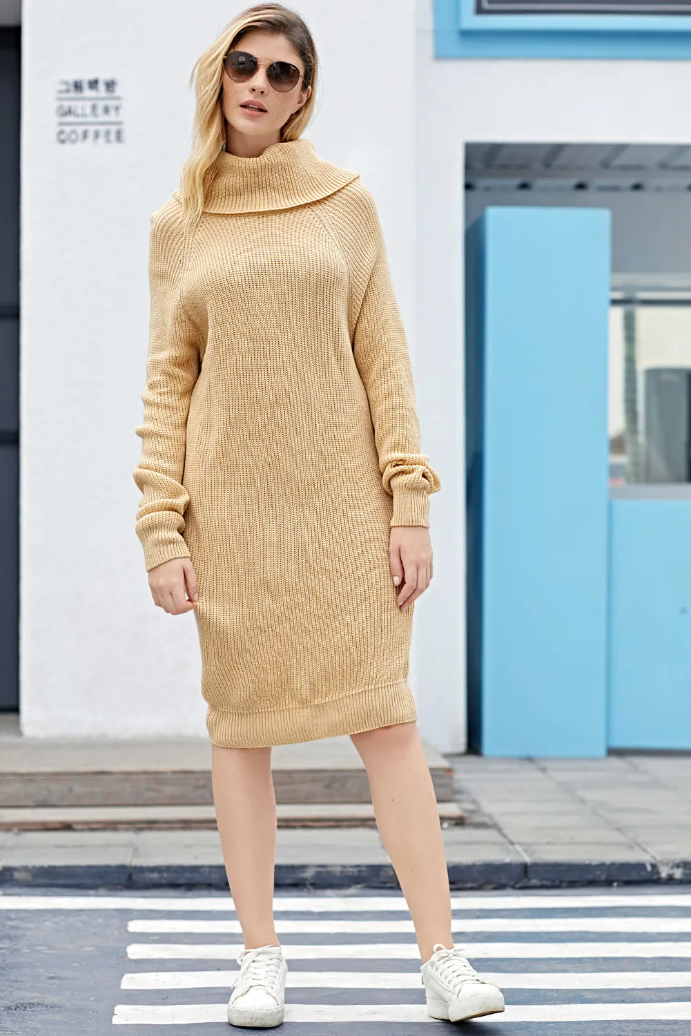 Heap Collar Mini Knit Dress