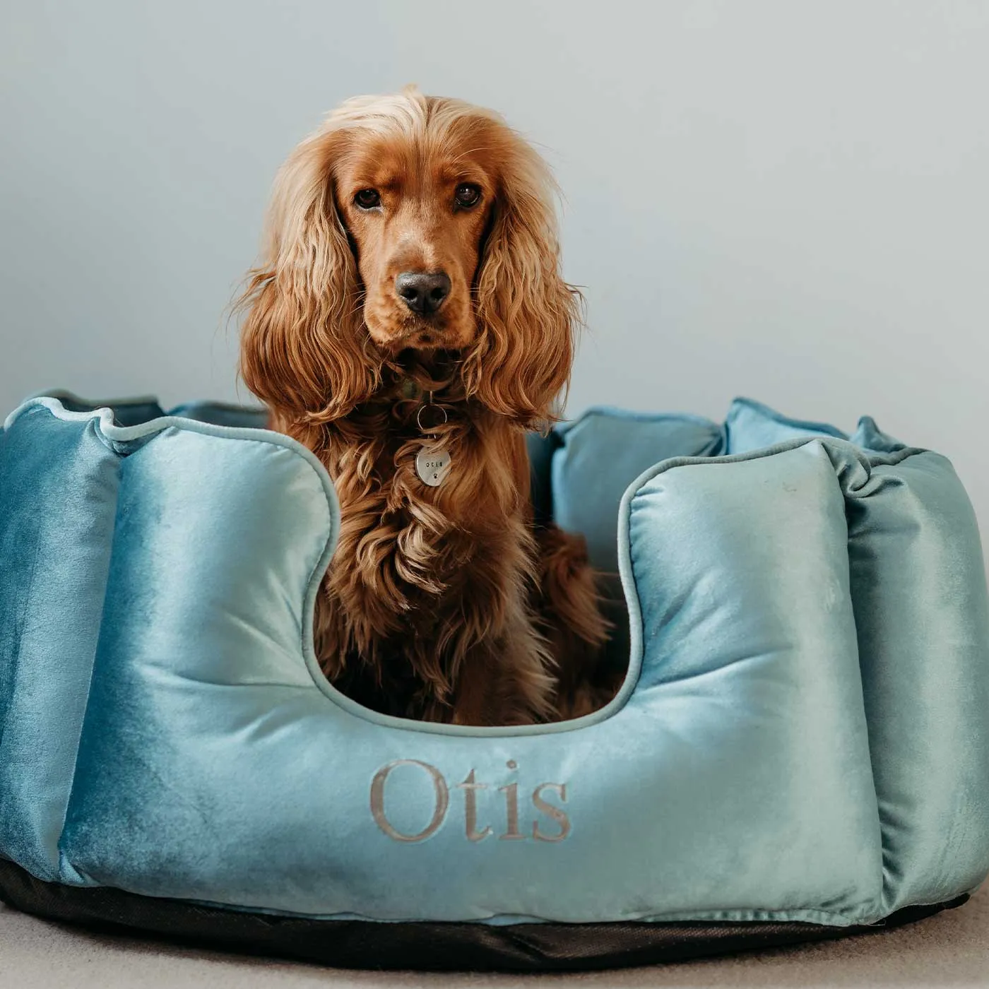 High Wall Bed For Dogs in Duck Egg Velvet by Lords & Labradors