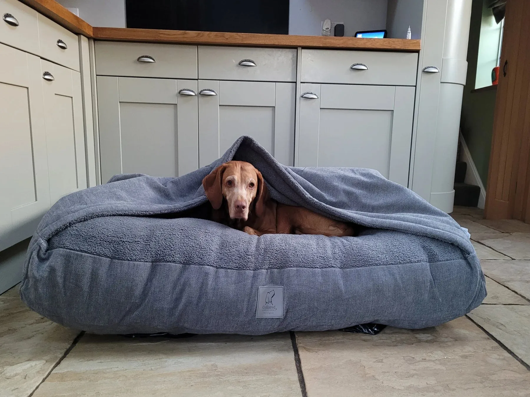 Luxury Snuggle Sack Dog Beds