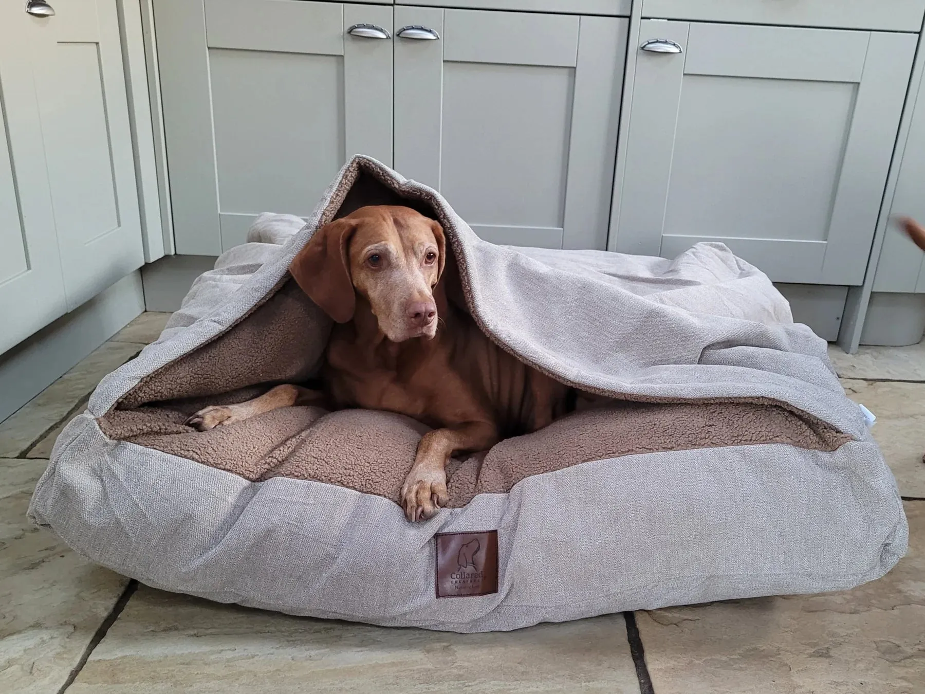 Luxury Snuggle Sack Dog Beds