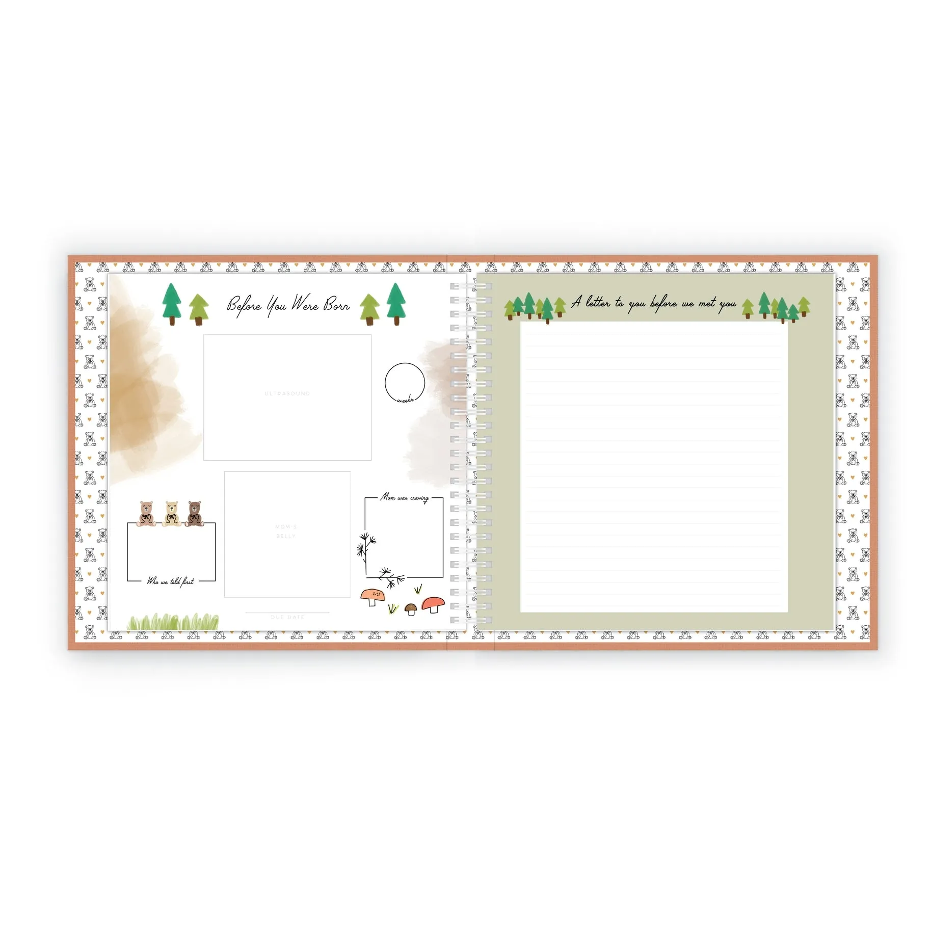 Teddy Bears Picnic Luxury Memory Book