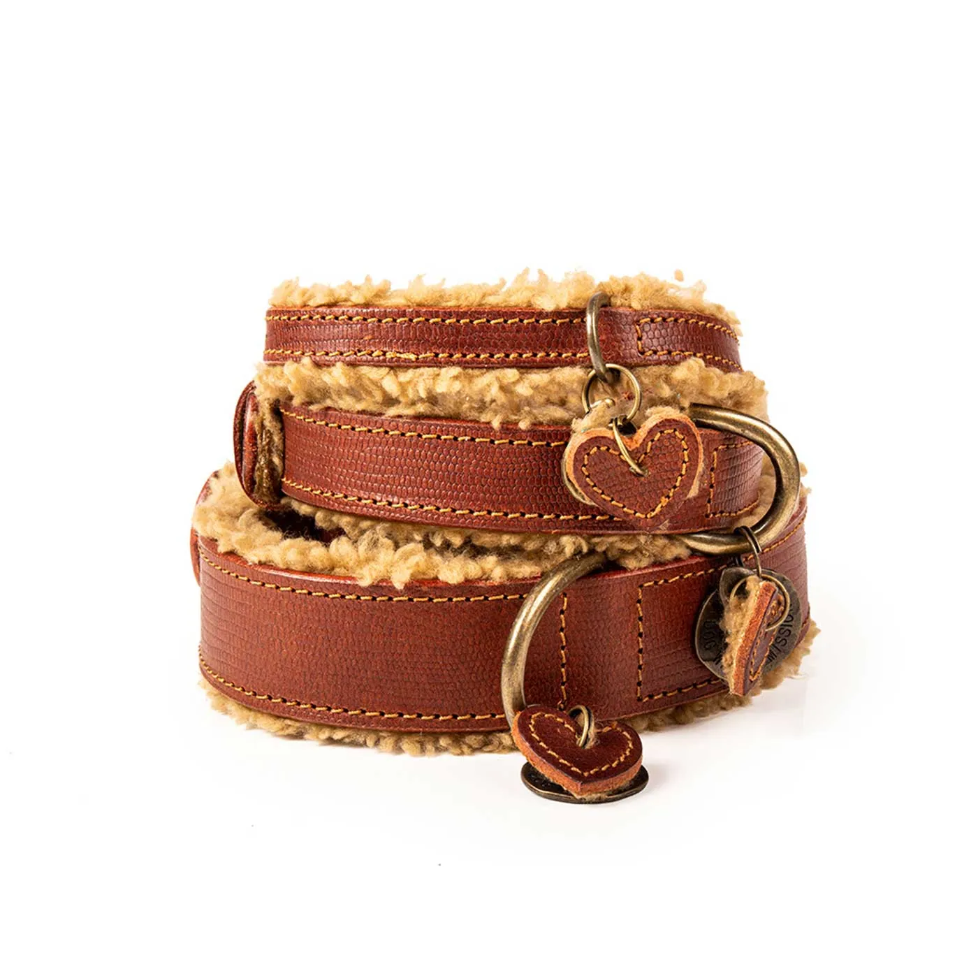 Teddy Dog Collar by DWAM