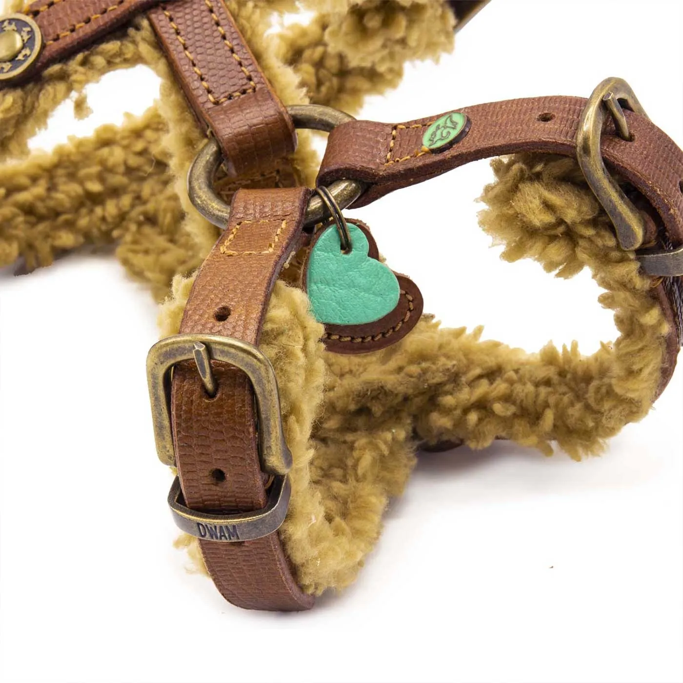 Teddy Dog Harness by DWAM