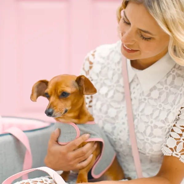 'The Melody' Pink & Grey Luxury Dog Harness