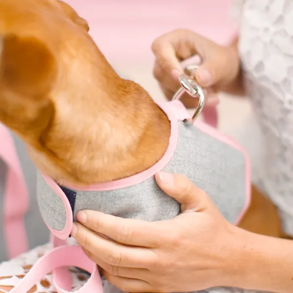 'The Melody' Pink & Grey Luxury Dog Harness