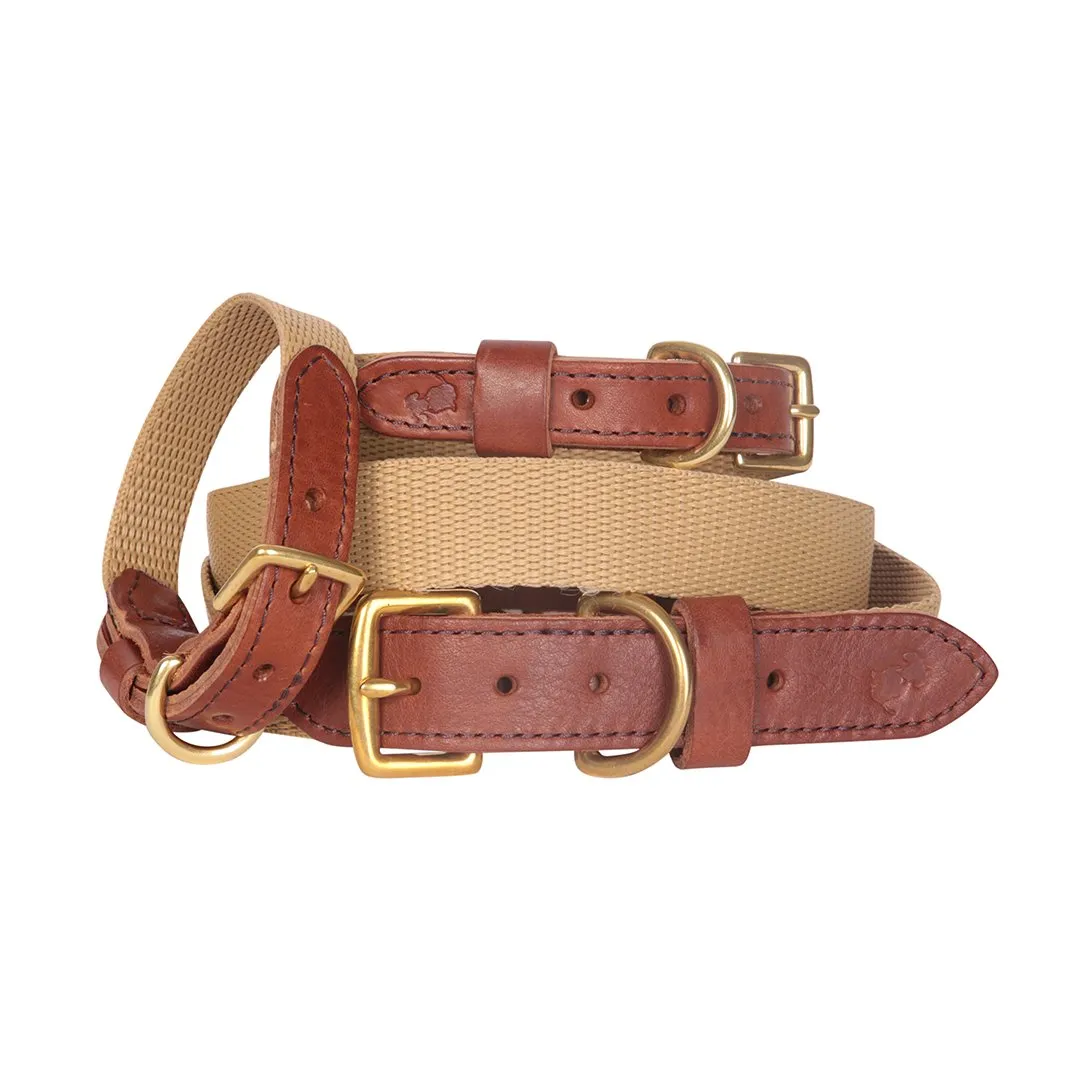 'The Richmond' Softgrain Tan Webbing Luxury Dog Lead