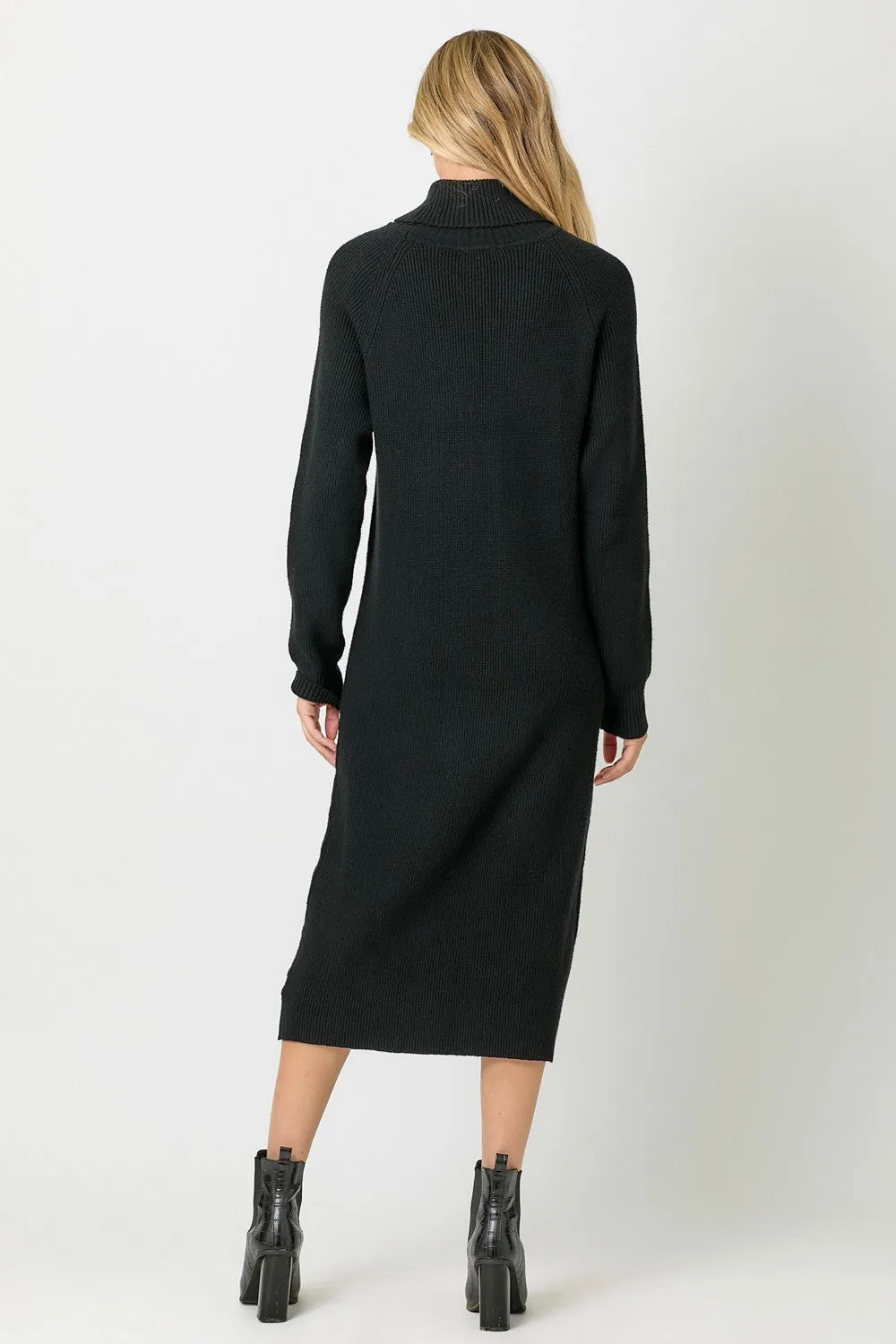 Turtleneck Rib Knit Dress